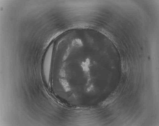 X0000078290434200611251447