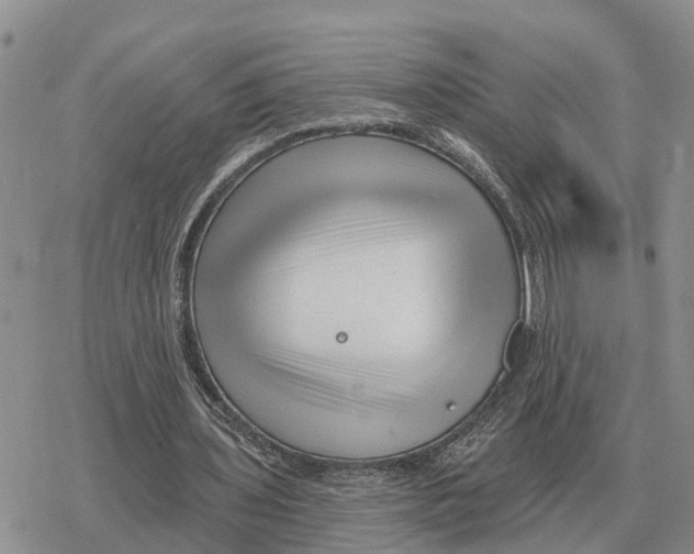 X0000078290435200611251447