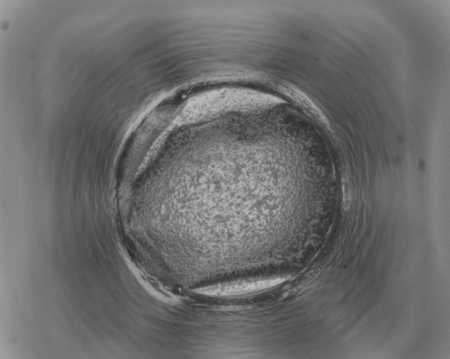 X0000078290436200611251447