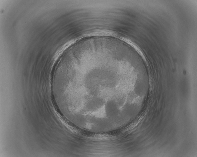 X0000078290437200611251447