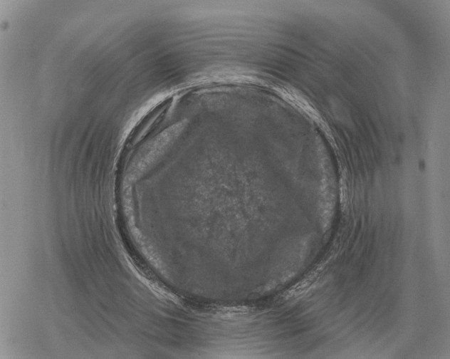 X0000078290438200611251447