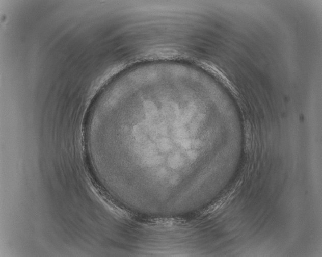 X0000078290439200611251447