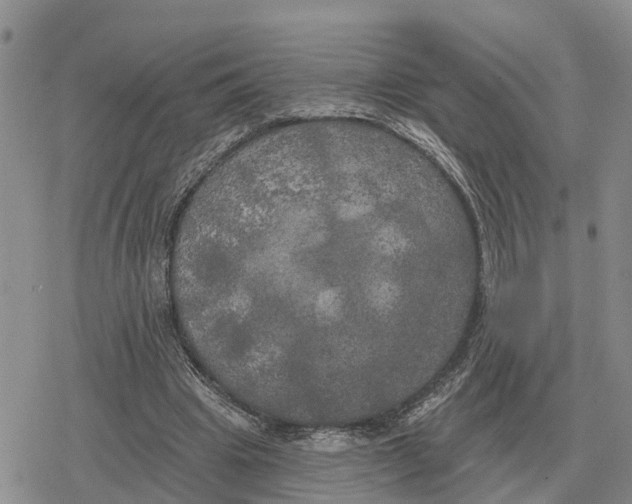 X0000078290441200611251447