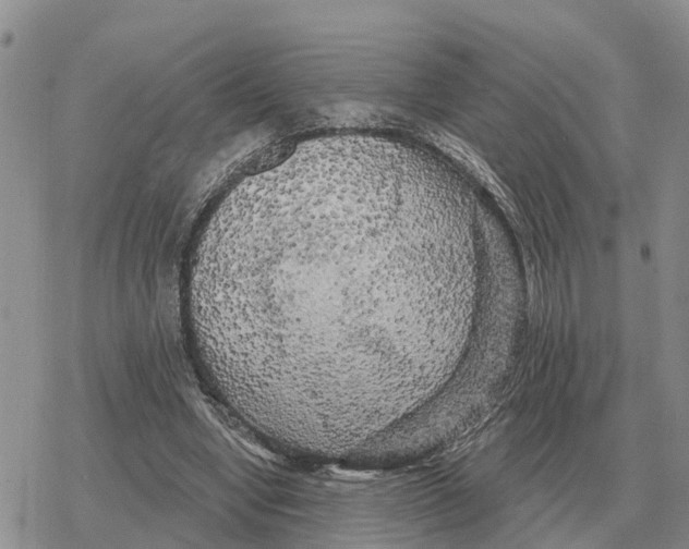 X0000078290442200611251447