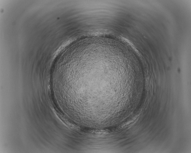 X0000078290443200611251447