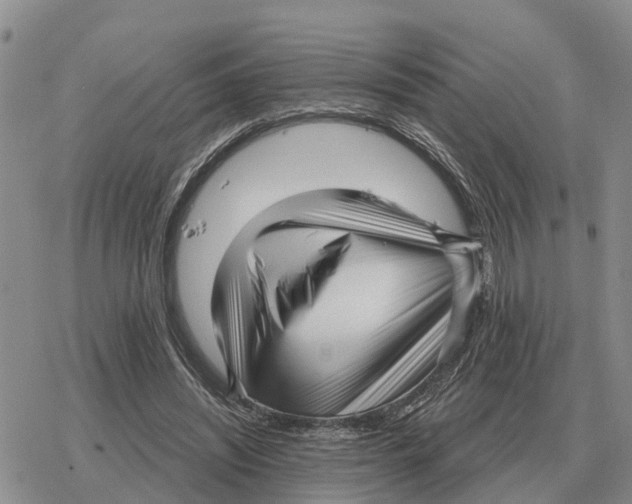 X0000078290444200611251447