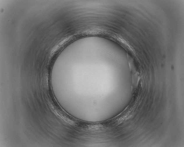 X0000078290446200611251447