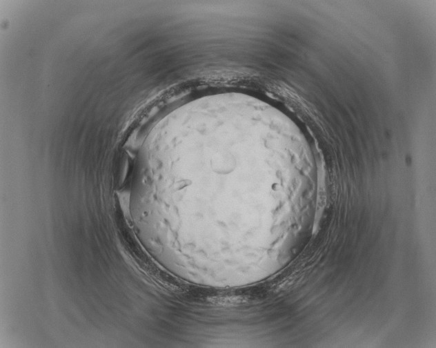 X0000078290448200611251447