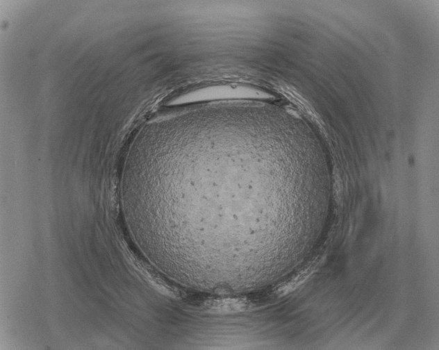 X0000078290449200611251447