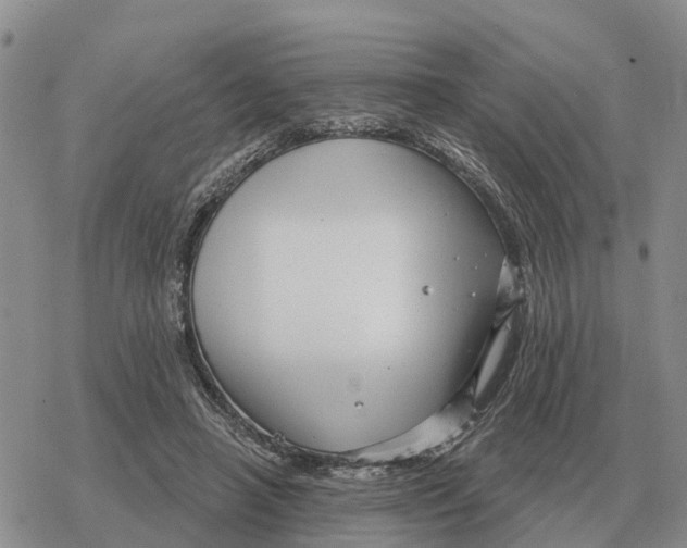 X0000078290450200611251447