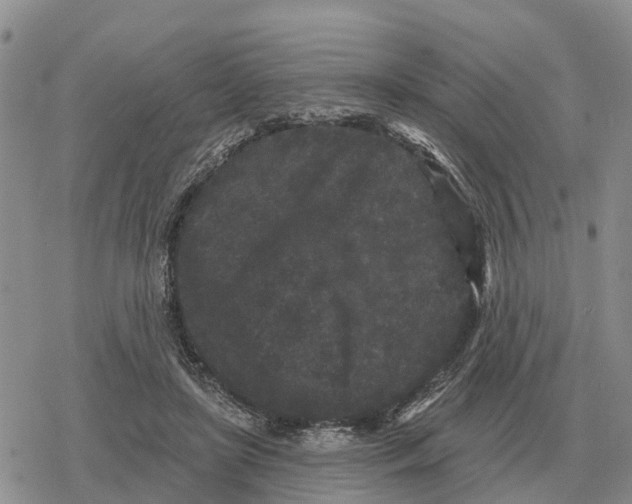 X0000078290451200611251447