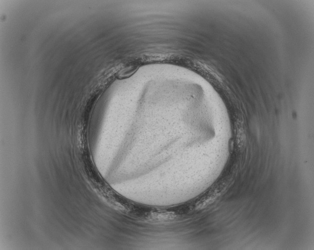 X0000078290455200611251447