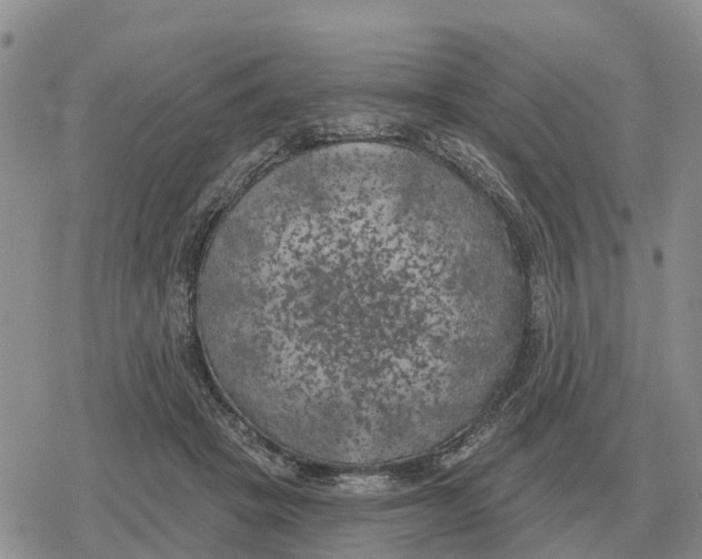 X0000078290457200611251447