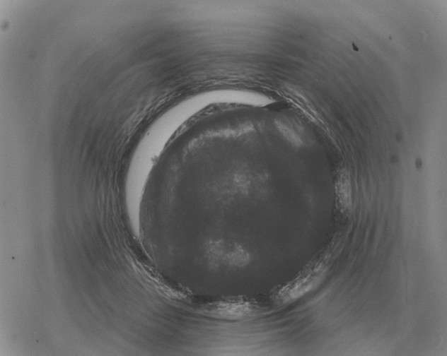 X0000078290458200611251447