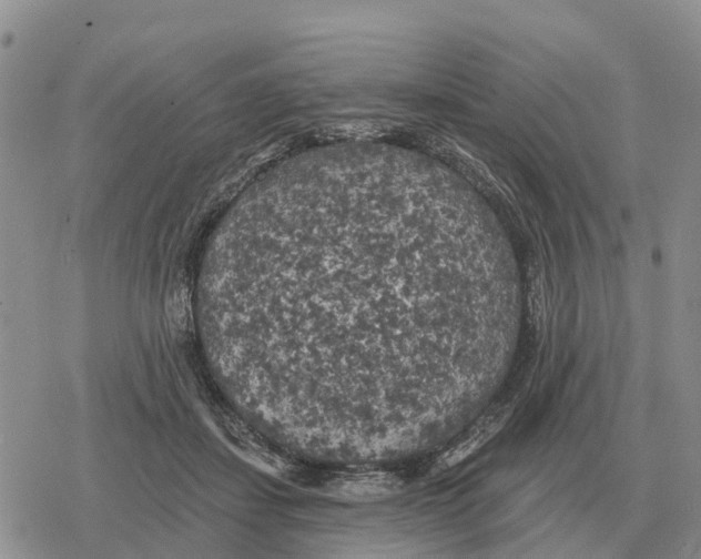 X0000078290459200611251447