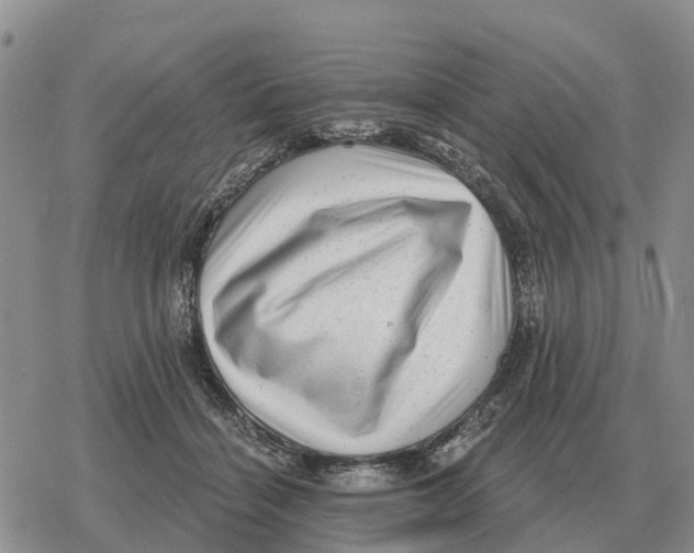 X0000078290460200611251447