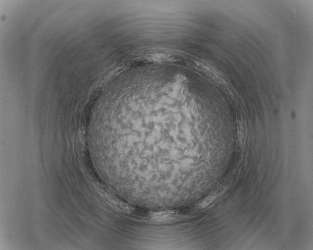 X0000078290461200611251447