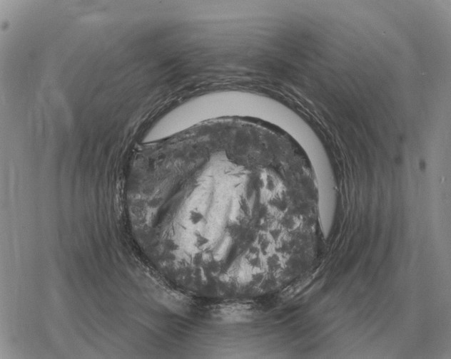 X0000078290462200611251447