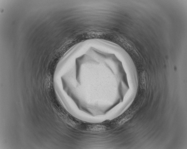 X0000078290463200611251447