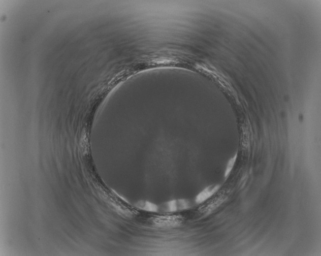 X0000078290465200611251447