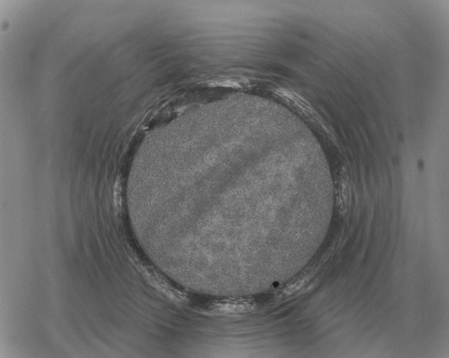 X0000078290466200611251447