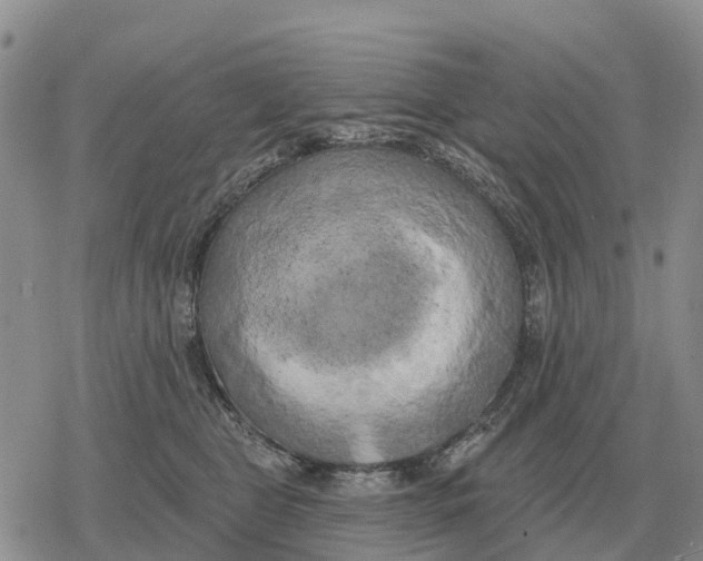 X0000078290469200611251447