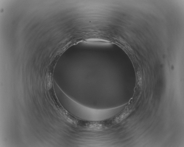 X0000078290471200611251447