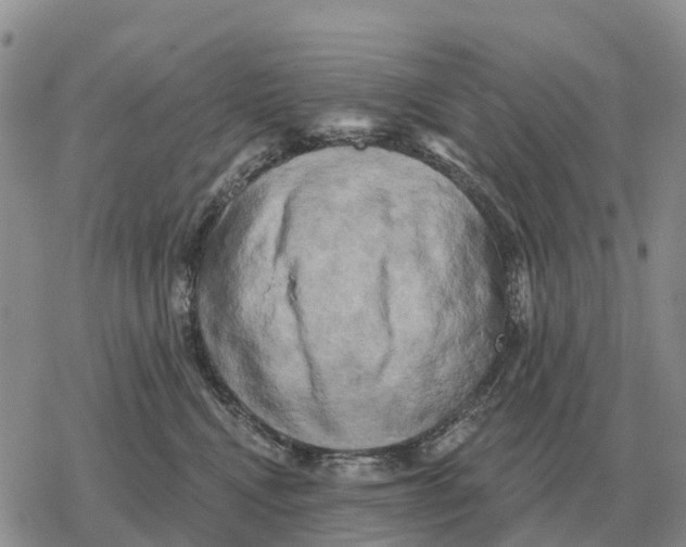 X0000078290472200611251447