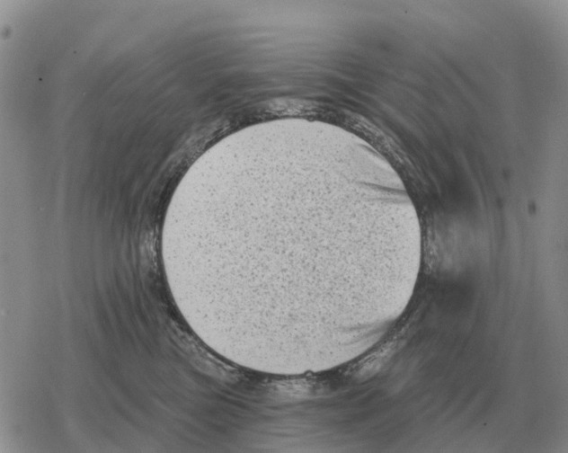 X0000078290473200611251447