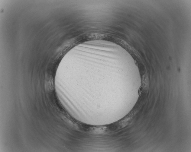 X0000078290474200611251447