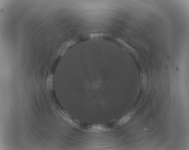 X0000078290475200611251447