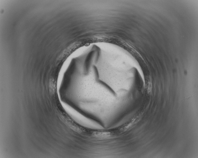 X0000078290476200611251447