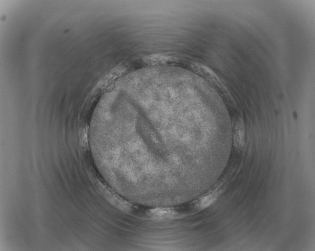 X0000078290477200611251448