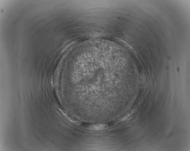 X0000078290479200611251448