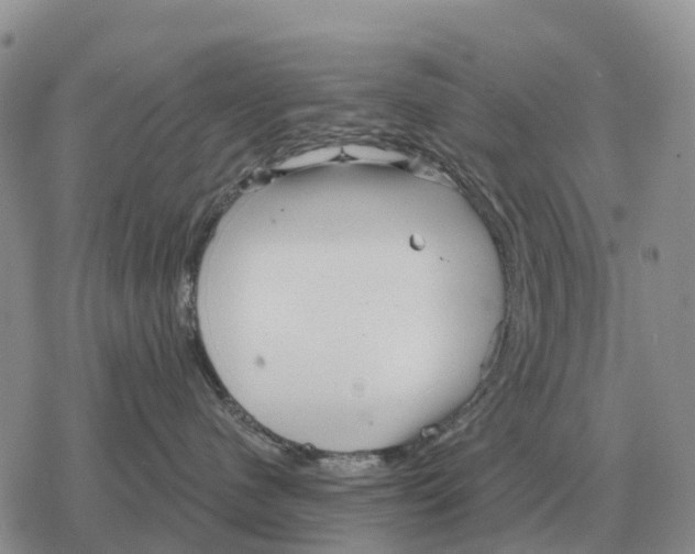 X0000078290480200611251448