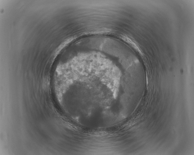 X0000078290483200611251447