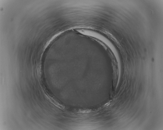 X0000078290484200611251447