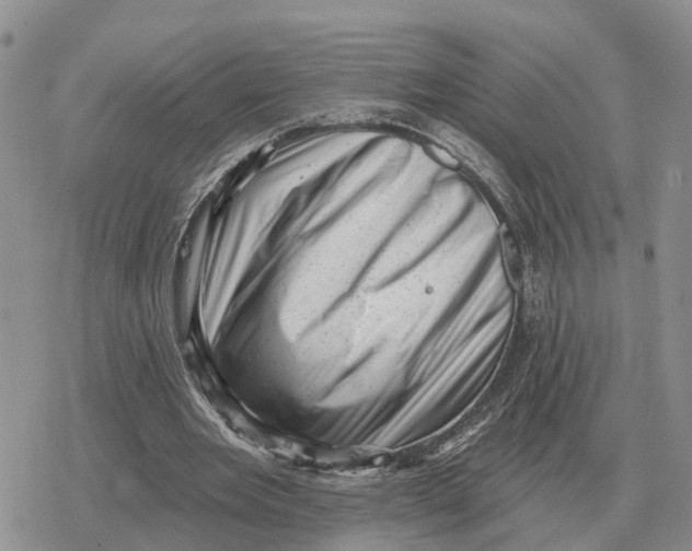 X0000078290485200611251447