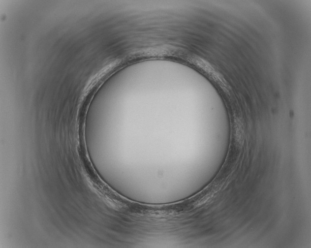 X0000078290486200611251447