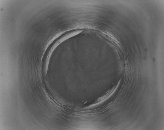 X0000078290488200611251447