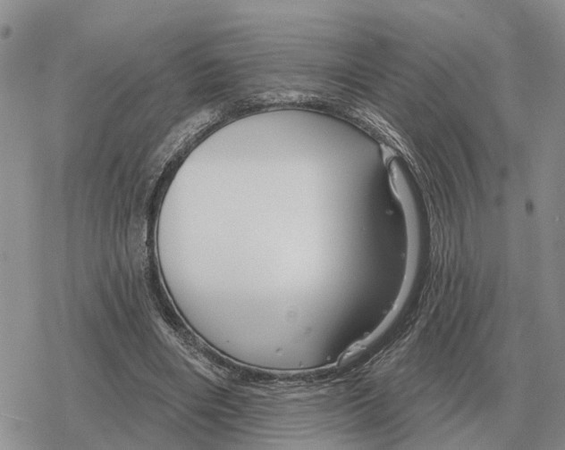 X0000078290490200611251447