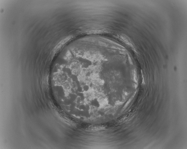 X0000078290491200611251447