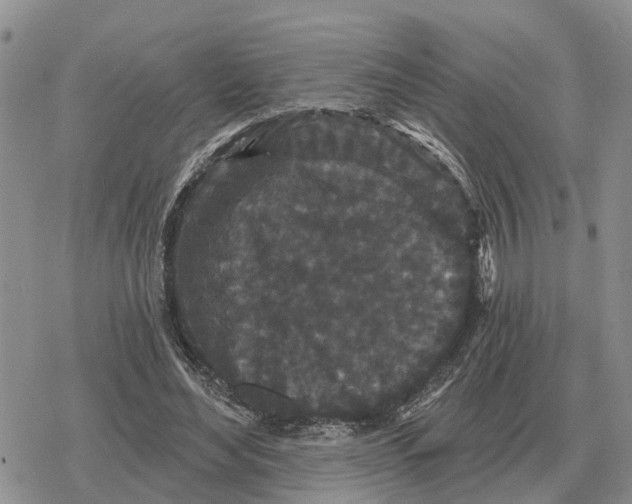 X0000078290492200611251447