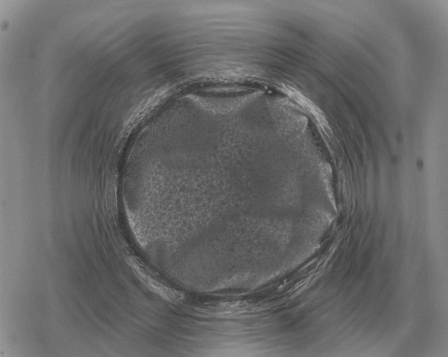 X0000078290493200611251447