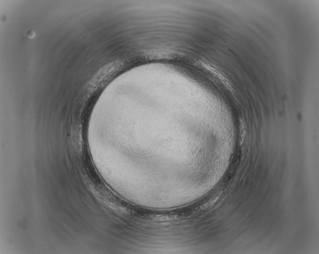 X0000078290494200611251447