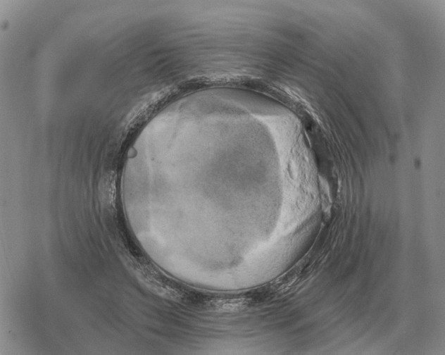 X0000078290495200611251447