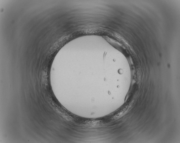 X0000078290497200611251447