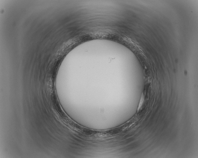 X0000078290498200611251447