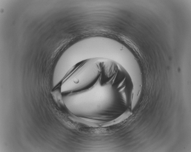 X0000078290501200611251446