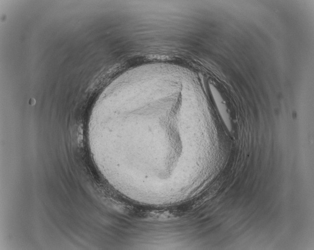 X0000078290502200611251446